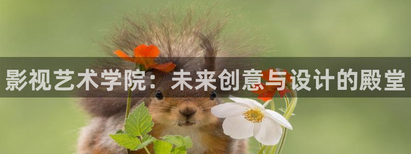 橘子桔子橙子：影视艺术学院：未来创意与设计的殿堂
