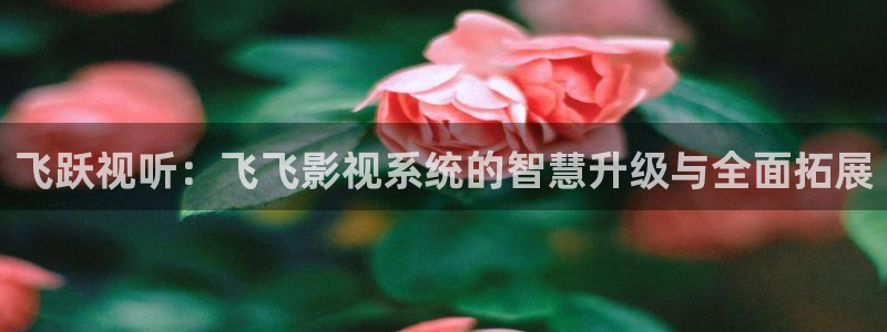 桔子视频下载app：飞跃视听：飞飞影视系统的智慧升级与全面拓展