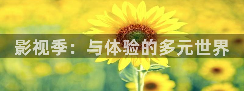 桔子网电影