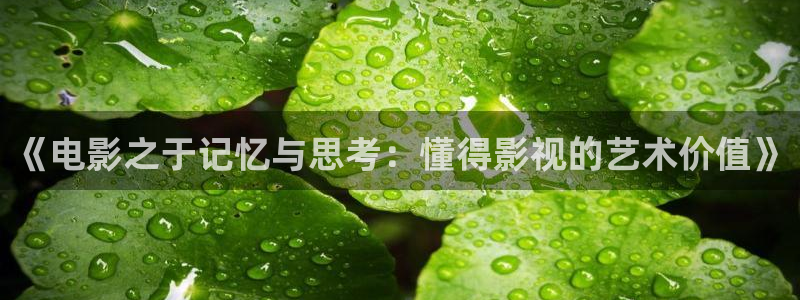 小桔子影视：《电影之于记忆与思考：懂得影视的艺术价值》