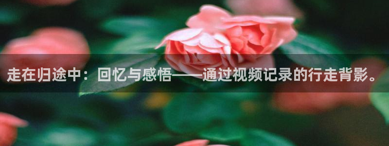 桔子视频在线播放：走在归途中：回忆与感悟——通过视频记录的行走背影。