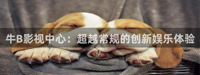 桔子在线影院免费播放电视剧大全：牛B影视中心：超越常规的创新娱乐体验