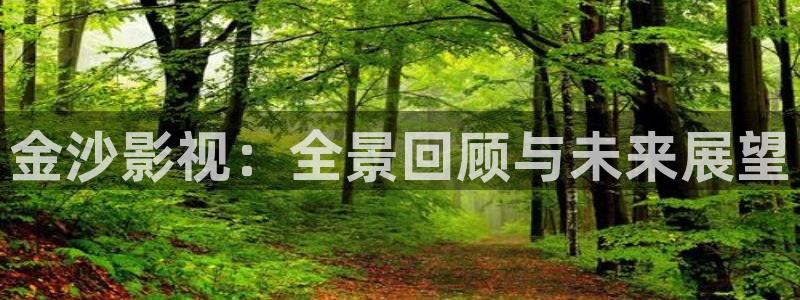 桔子在线观看全集：金沙影视：全景回顾与未来展望