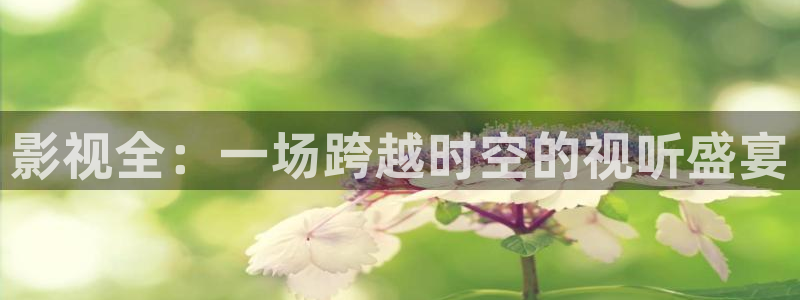 桔子mv电影在线观看免费：影视全：一场跨越时空的视听盛宴