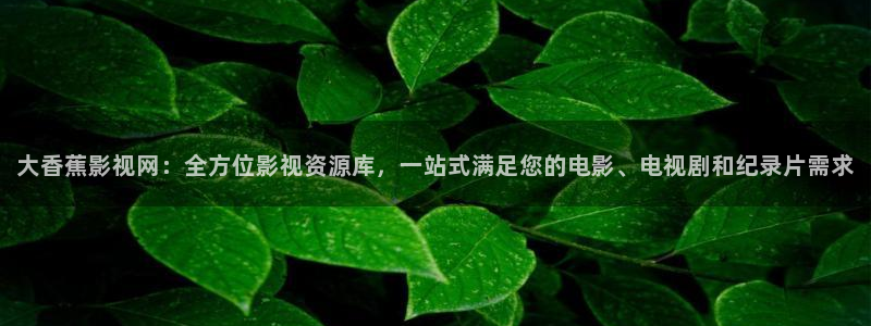 桔子视频网页版：大香蕉影视网：全方位影视资源库，一站式满足您的电影、电视剧和纪录片需求